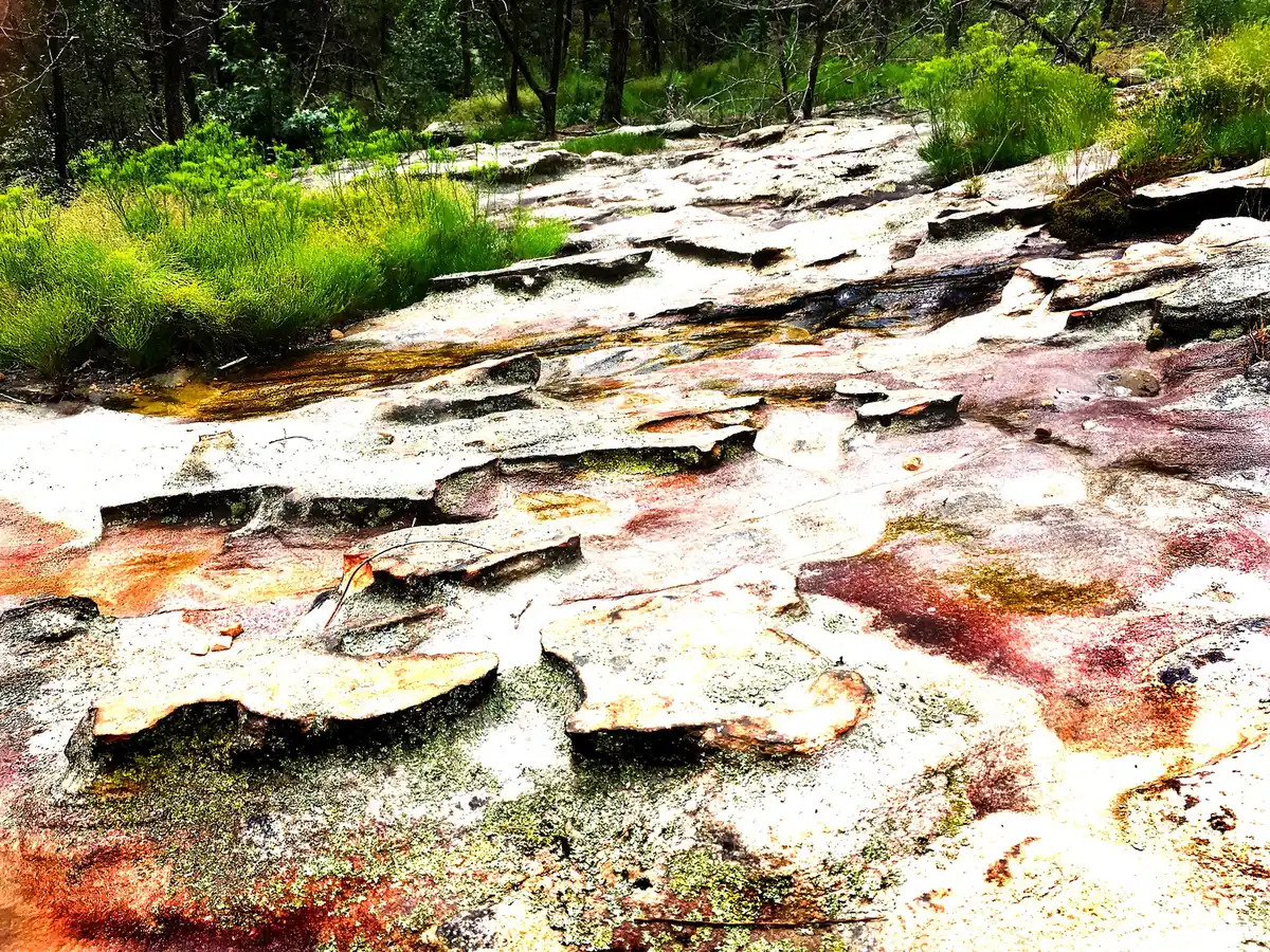 Sandstone boulders and woods in Moss Rock Preserve, the city nature preserve beside The Preserve in Hoover.