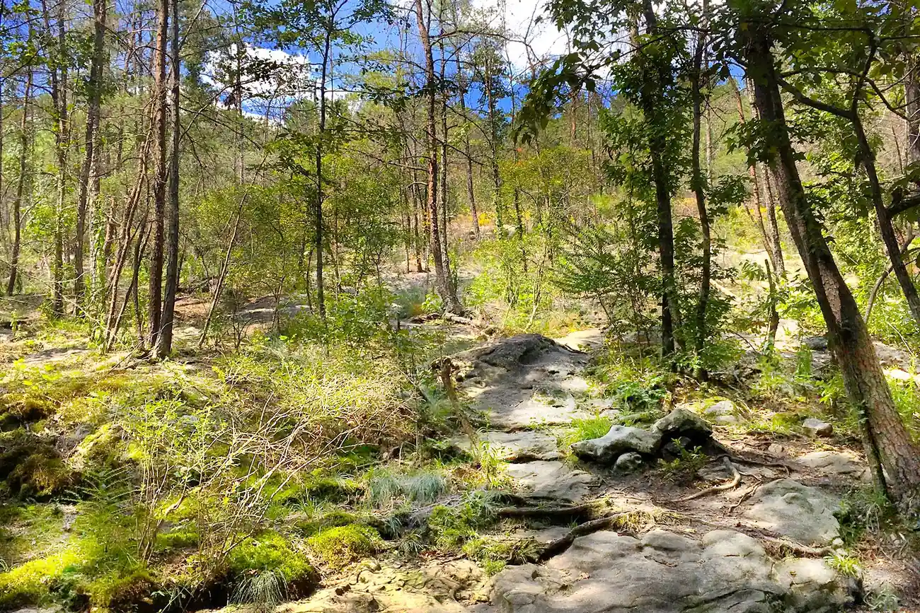 A rocky trail winds through spring woods at Moss Rock Preserve in Hoover.