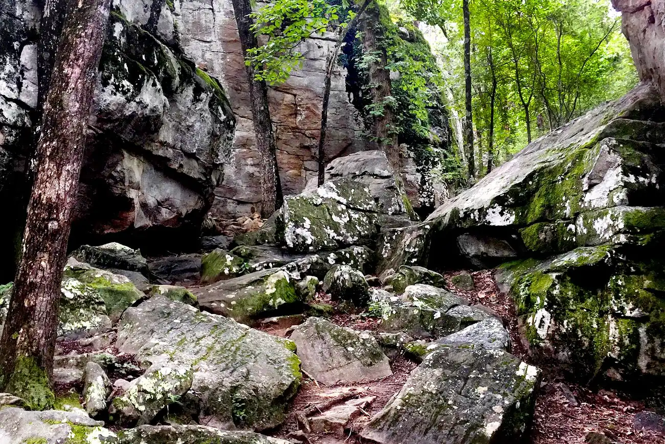 A rocky trail climbs between sandstone boulders in the Boulder Field at Moss Rock Preserve in Hoover.